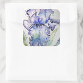 Paarse Iris Art Waterverf Birthday Uitnodiging Vierkante Sticker (Tas)