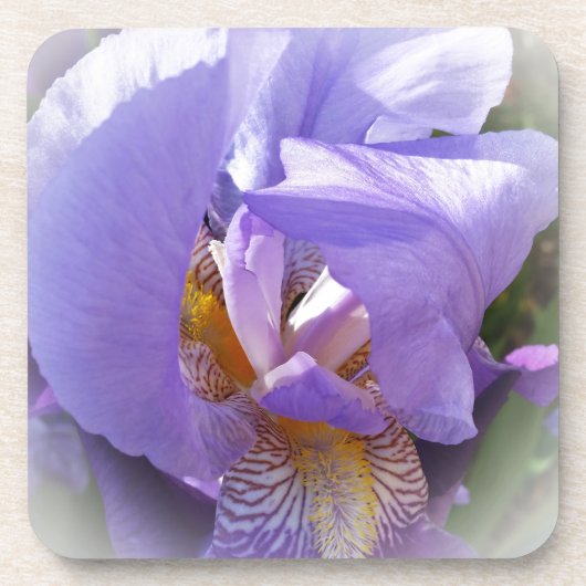 paarse iris bier onderzetter (Voorkant)