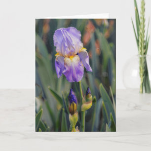 Paarse Iris Bloem Bloemenkunst Tuin Notitiekaart