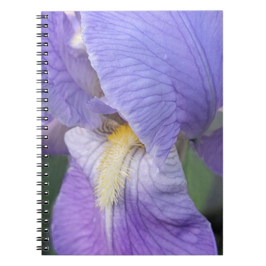 Paarse Iris Bloem Bloemstuk Notitieboek (Voorkant)