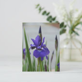 Paarse Iris Bloem Botanische Fotografische Briefkaart (Staand voorkant)