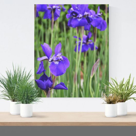 Paarse Iris Bloem Botanische Fotografische Canvas Afdruk
