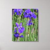 Paarse Iris Bloem Botanische Fotografische Canvas Afdruk (Voorkant)