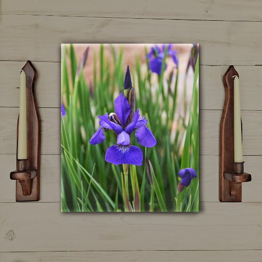 Paarse Iris Bloem Botanische Fotografische Kunst Canvas Afdruk
