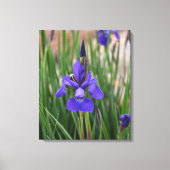 Paarse Iris Bloem Botanische Fotografische Kunst Canvas Afdruk (Voorkant)