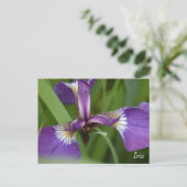 Paarse iris bloem briefkaart (Staand voorkant)