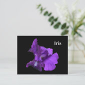 Paarse Iris Bloem Briefkaart (Staand voorkant)