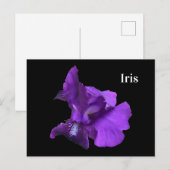 Paarse Iris Bloem Briefkaart (Voorkant / Achterkant)