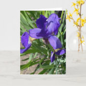 Paarse Iris Bloem Foto Afdruk Kaart (Gele Bloem)