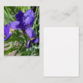 Paarse Iris Bloem Foto Notitiekaartje (Voorkant / Achterkant)