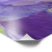 Paarse Iris Bloem Fotografie kunstprints Bloemstuk Foto Afdruk (Hoek)