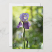 Paarse Iris Bloem Groene Lente Bruiloft Kaart (Achterkant)