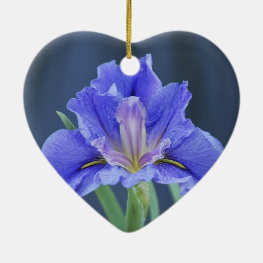 Paarse Iris-bloem Keramisch Ornament (Achterkant)