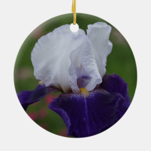 Paarse Iris Bloem Kerstversiering Keramisch Ornament (Achterkant)