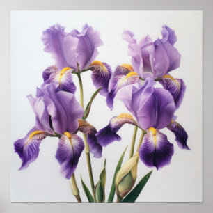 Paarse Iris Bloem Kunstprint Poster