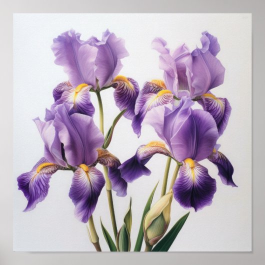 Paarse Iris Bloem Kunstprint Poster (Voorkant)