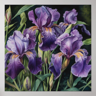 Paarse Iris Bloem Kunstprint Poster