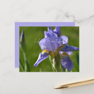 Paarse Iris Bloem (mijn fotografie) Briefkaart