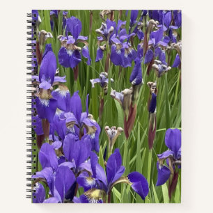 Paarse Iris Bloemen Natuur Planten Fotografie Notitieboek