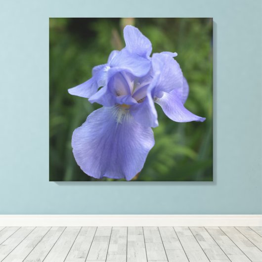  Paarse Iris bloemendoek Print (Insitu (Houten vloer))