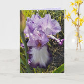 Paarse Iris Blowers Garden Birthday Card Kaart (Gele Bloem)