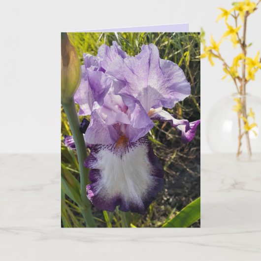 Paarse Iris Blowers Garden Birthday Card Kaart (Gele Bloem)