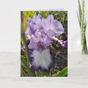 Paarse Iris Blowers Garden Birthday Card Kaart