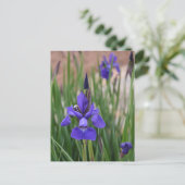 Paarse Iris Botanische Bloem Fotografisch Briefkaart (Staand voorkant)