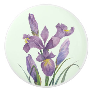 Paarse Iris Botanische Bloemen Plain Duck Egg Blue Keramische Knop