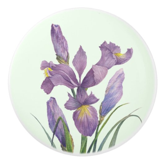 Paarse Iris Botanische Bloemen Plain Duck Egg Blue Keramische Knop (Voorkant)