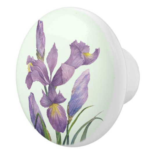 Paarse Iris Botanische Bloemen Plain Duck Egg Blue Keramische Knop (Rechts)