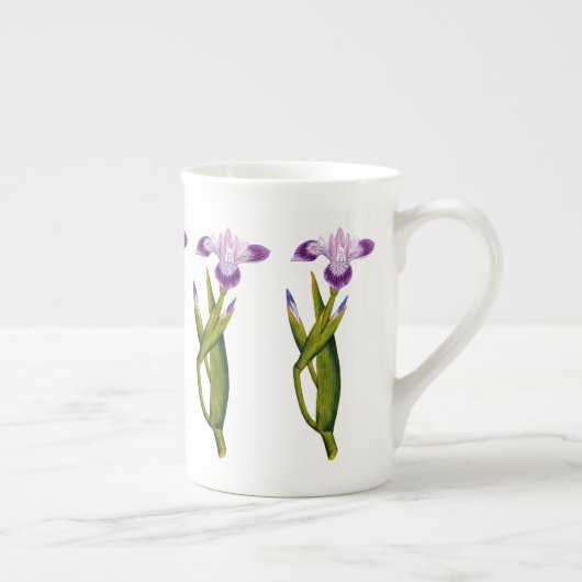 Paarse Iris botanische bot China Mok (Rechts)