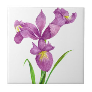 Paarse Iris Botanische Floral Art Tegeltje