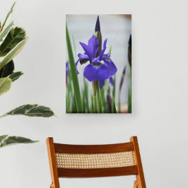 Paarse Iris Botanische Fotografische Bloemstuk Canvas Afdruk