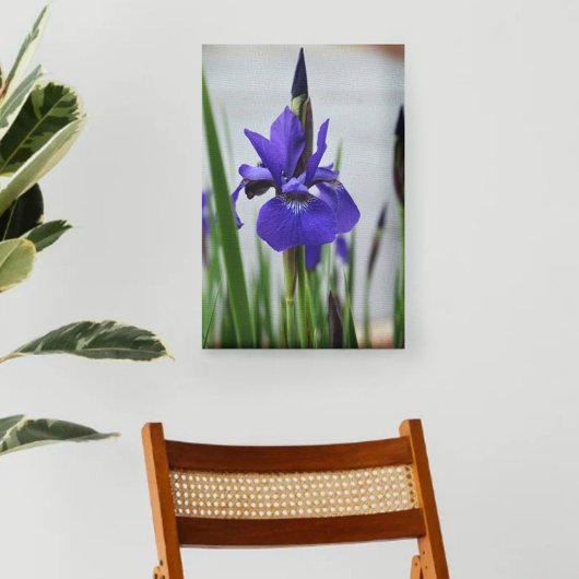 Paarse Iris Botanische Fotografische Bloemstuk Canvas Afdruk