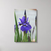 Paarse Iris Botanische Fotografische Bloemstuk Canvas Afdruk (Voorkant)