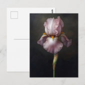 Paarse Iris Botanische Schilderij Briefkaart (Voorkant / Achterkant)