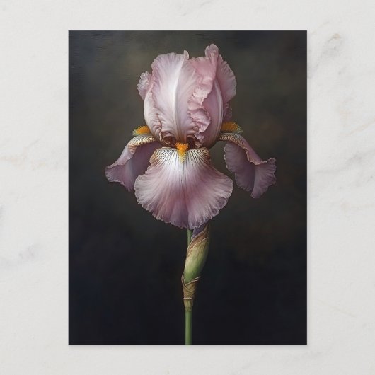 Paarse Iris Botanische Schilderij Briefkaart (Voorkant)