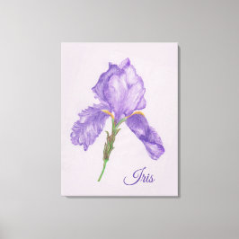 Paarse iris, botanische stijl, gekleurde potloodku canvas afdruk