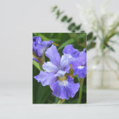 Paarse iris briefkaart (Staand voorkant)
