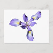 Paarse Iris Briefkaart (Voorkant)