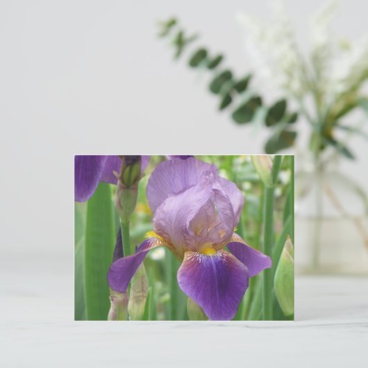 Paarse Iris Briefkaart (Staand voorkant)