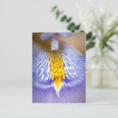 Paarse Iris Briefkaart (Staand voorkant)