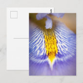 Paarse Iris Briefkaart (Voorkant / Achterkant)
