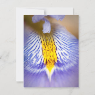 Paarse Iris Briefkaart