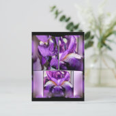 Paarse Iris Briefkaart (Staand voorkant)
