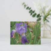 Paarse Iris Briefkaart (Staand voorkant)