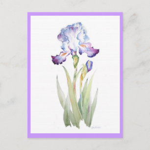 Paarse Iris Briefkaart