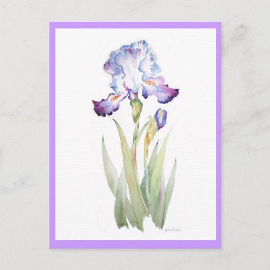 Paarse Iris Briefkaart (Voorkant)