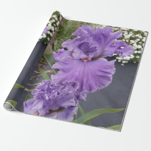 Paarse Iris bruinbloemen Lavender Lila Beared Cadeaupapier